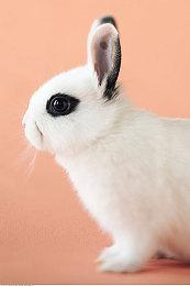 《我的世界》“龙与地下城”DLC将于下周正式发布